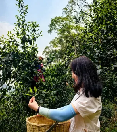 上海大宁国际商圈探店：宝妈遛娃与情侣约会吃饭路线对比，我跑了三趟才敢说真话 😤