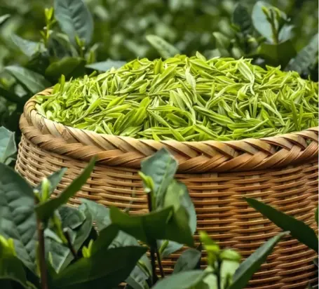 上海朵云书院广富林店：明代高房里的文化秘境，你去打卡了吗？😲