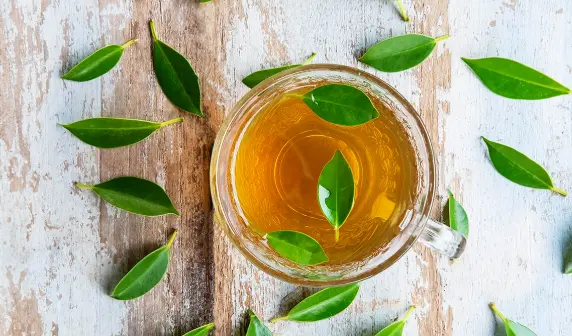 本地茶友会到底怎么交流？新手怎么融入才能不尴尬？🍵